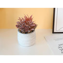 Planta Artificial Suculenta 19 cm Gris/Rojo