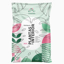 Sustrato plantas de interior 20 l
