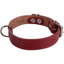 Collar Para Perro 50X2. 5 Cm Mascotas
