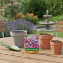 Semilla Flor Clarines 2 gr Sachet