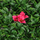 Jardin vertical flores rosa 50x50cm