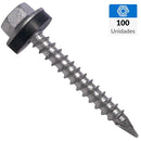 Tornillo Autoperforante Madera 1-1/2 10 mm 100 unidad(es)