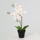 Planta Artificial Orquidea 48 cm Blanco