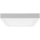 Panel LED cuadrado 31,5 cm 24 W luz dia