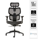Silla Ejecutiva Ergonomica Ergoplus Negro