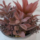 Planta Artificial Suculenta 19 cm Gris/Rojo