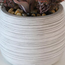 Planta Artificial Suculenta 19 cm Gris/Rojo