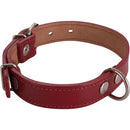 Collar Para Perro 50X2. 5 Cm Mascotas