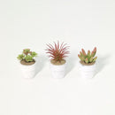 Set 3 Suculentas Artificiales 7 cm Verde