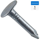 Clavo para teja asfaltica 3/4 1 kg