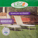 Semilla de Pasto Manquehue 0.5 kg Bolsa