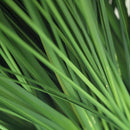 Planta Artificial Pasto 130 cm Verde