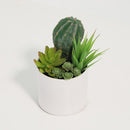 Cactus Artificial 18 cm Verde