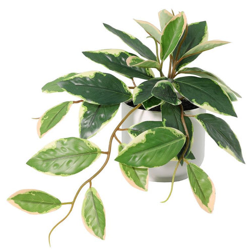 Planta Artificial Hoya 50 cm Verde