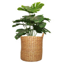 Canasto Decorativo Jacinto Agua 36X36 Cm Hogar Jardin