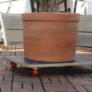 Rueda giratoria pu 100kg