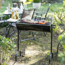 Parrilla A Carbon Con Roldana Metal