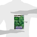 Semilla Albahaca Verde 4 gr Sachet