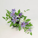 Planta Artificial Clematis 23 cm Violeta