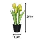 Tulipan Amarillo 8 Cm Amarillo