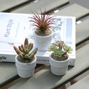 Set 3 Suculentas Artificiales 7 cm Verde
