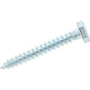 Tornillo Tirafondo Madera 2 1/4 10 unidad(es).