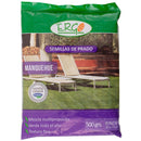 Semilla de Pasto Manquehue 0.5 kg Bolsa