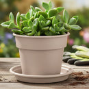 Base Para Macetero No10 25 Cm Jardin