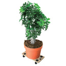 Plataforma Carga 200Kg Bauker