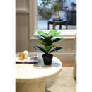 Planta Artificial Ficus Lyrata 40 cm Verde