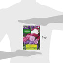 Semilla Flor Reina Margarita 0.8 gr Sachet