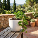 Macetero Siena de Plastico 30x30 cm Blanco