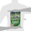 Fertilizante para plantas 1 kg bolsa