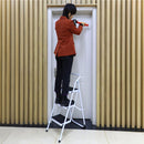 Escalera silla De extension Acero 1.06 m 3 Peldanos