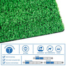 Pasto Sintetico 10 mm 2x5 metros