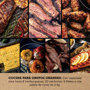 Parrilla con Ahumador Electrica 2400 W Negro OG701EU
