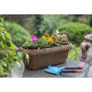Petunia 10 cm Natural CT10