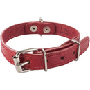 Collar Para Perro Suela 40X2 Cm Accesorio Mascotas