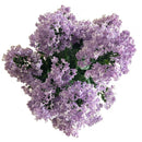 Planta Artificial Flor 98 Cm Morado; Verde