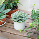 Suculenta Artificial 18 Cm Verde