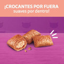 Snack Delicioso para Gato Adulto Salmon 0.08 kg
