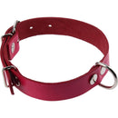 Collar Para Perro Suela 50X2. 5 Cm Mascotas