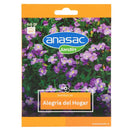 Semilla de flor alegria del hogar 0.5 gr Sachet