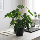 Planta Artificial Filodendro 35 Cm Verde