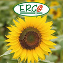 Semilla Flor Girasol 3 gr Sachet