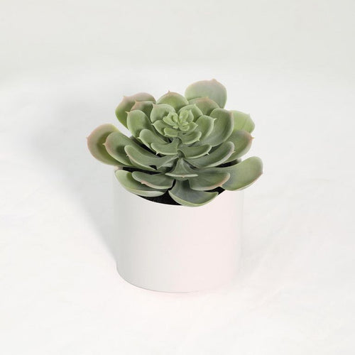 Suculenta Artificial 18 Cm Verde