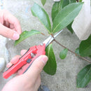 Tijera Jardin Acero Inoxidable 16,5 Cm