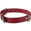Collar Para Perro 75X3 Cm Hebilla Metalica Mascotas