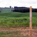 Alambre Puas Iowa