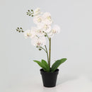 Planta Artificial Orquidea 48 cm Blanco